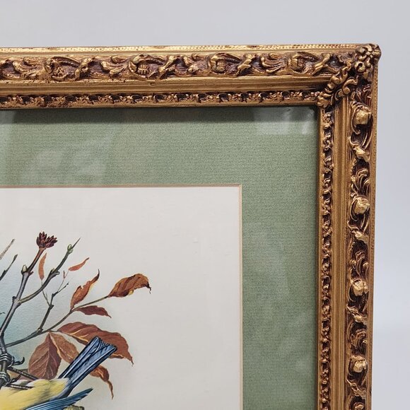 Vintage Framed Bird Illustration by Vortigern Gold Wooden Ornate Frame 13x10" - Picture 4 of 11